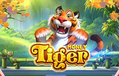 Money Tiger